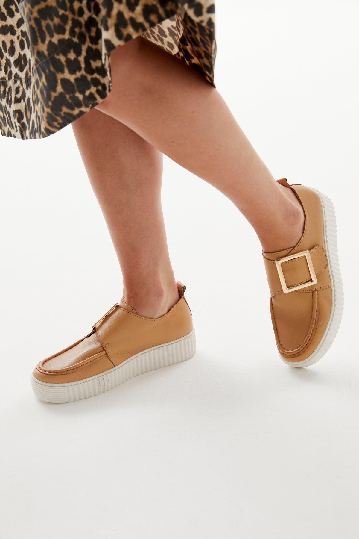 DISHING CAMEL Success