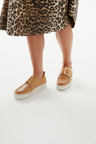 DISHING CAMEL Success