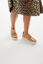 DISHING CAMEL Success