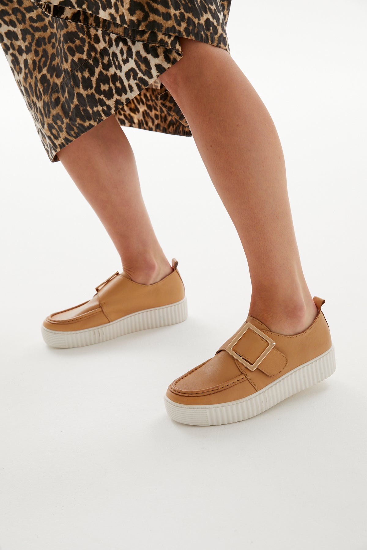 DISHING CAMEL Success