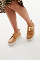 DISHING CAMEL Success