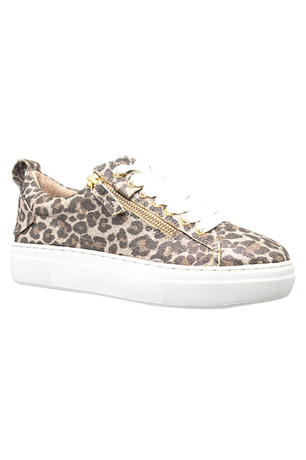 MAIZE CHAMPAGNE LEOPARD