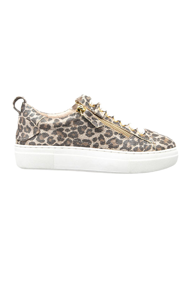 MAIZE CHAMPAGNE LEOPARD