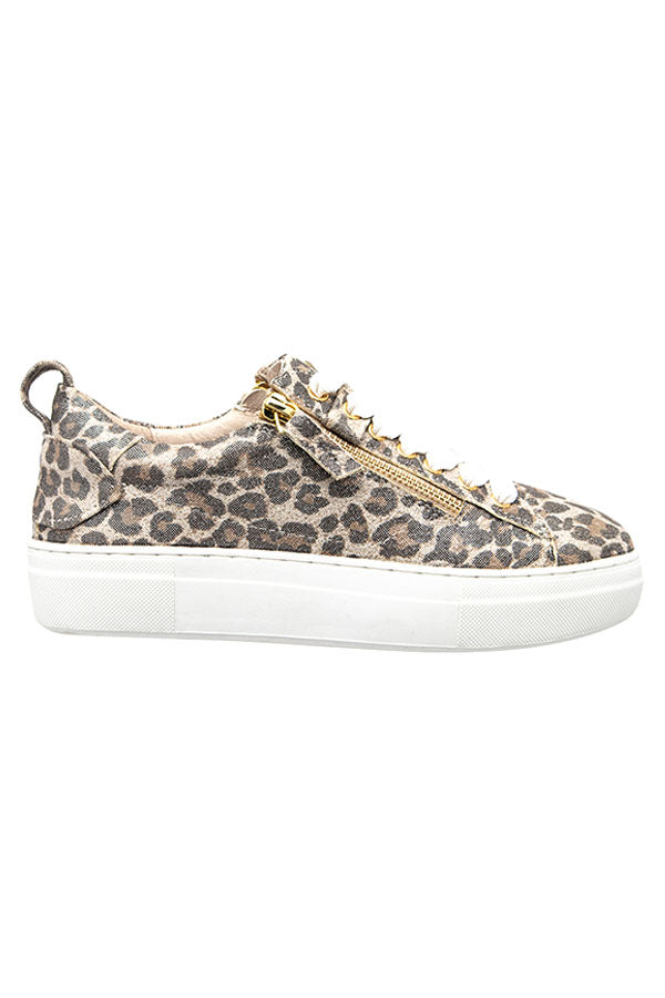 MAIZE CHAMPAGNE LEOPARD